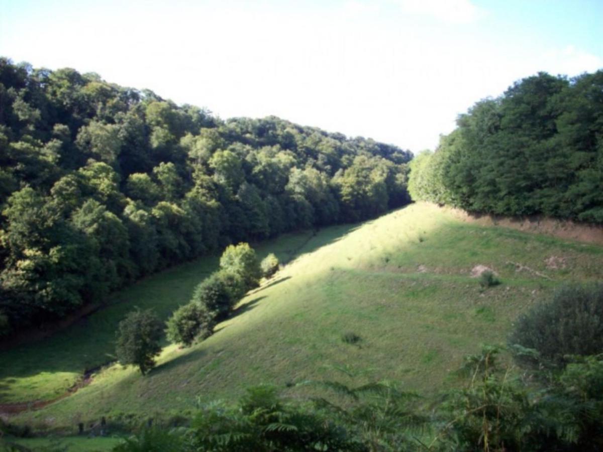 Cosy Chalet With Private Garden In Normandy Isigny-le-Buat Quarto foto